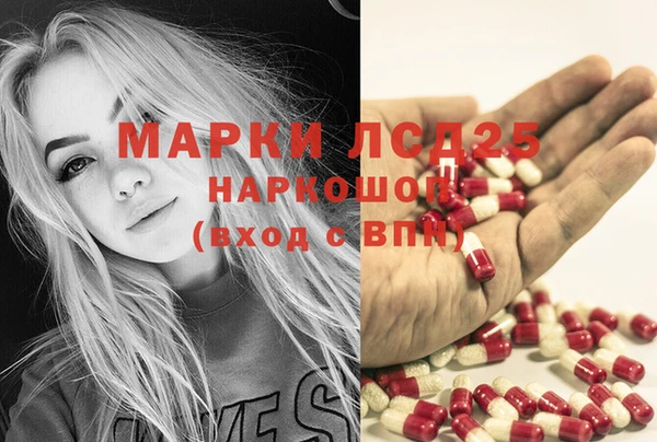 мет Алексин