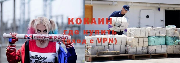 мет Алексин