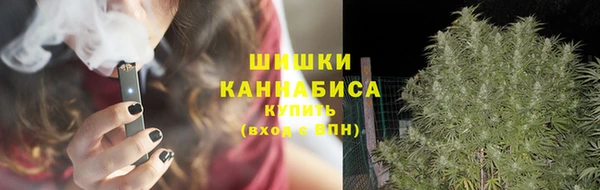 шишки Алексеевка