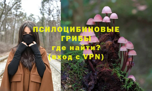 шишки Алексеевка