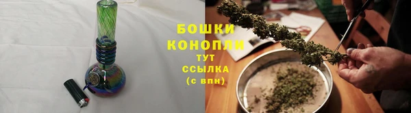 шишки Алексеевка