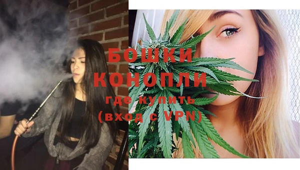 шишки Алексеевка