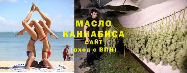 мет Алексин
