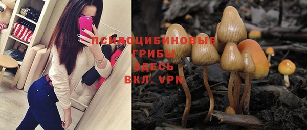 MESCALINE Алзамай
